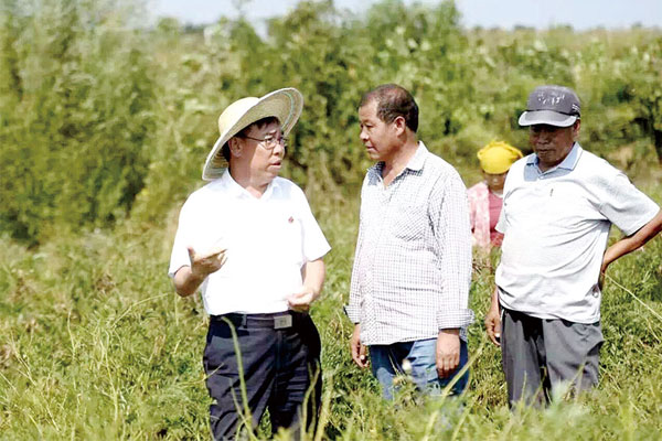 李安平在中药材基地现场调查 李安平在中药材基地现场调查